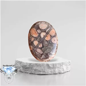 مهره فسیل کرینوئید بسیار خاص