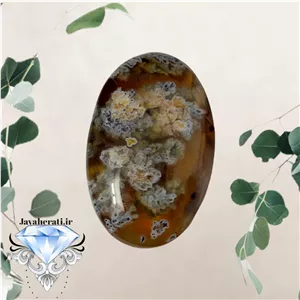 مدال شجربهاری خارق العاده و بینظیر
