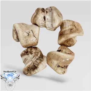 عطف بحری اصیل و کهنه(یک عدد)