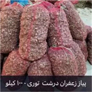 پیاز زعفران عمده کشت خاکی 1 تن (توری)