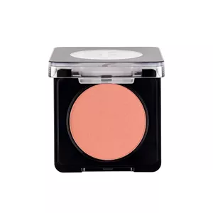 رژگونه Sparkle Rose 103 فلورمار flormar