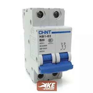 کلید مینیاتوری AC دو پل 25 آمپر 6kA تیپ C چینت سری NB1