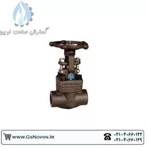 شیرفلکه سوزنی کلاس ۸۰۰ فولادی رزوه‌ای A105 NPT 