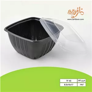 ظرف یکبار مصرف درب دار سالاد سزار و پاستا