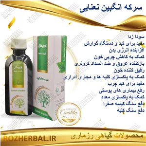 سرکه انگبین نعنایی 200 میلی لیتر دکتر خیر اندیش