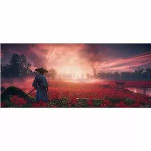 دیسک بازی Ghost of Tsushima Director's Cut برای PS5