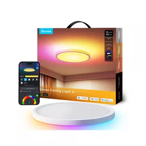 چراغ سقفی هوشمند 30 سانتی Govee Smart Ceiling Light 1S H80A1