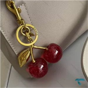 چارم بگ کوچ  گیلاس سیم اورجینالCoach-8438-L