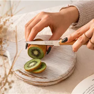 چاقو میوه خوری دسته چوبی برند روک