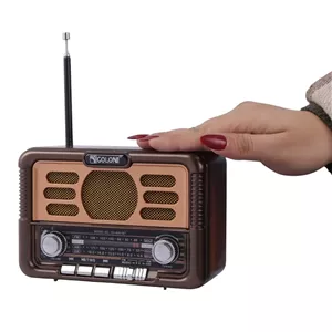 رادیو اسپیکر بلوتوثی قابل حمل گولون مدل RX-BT6061S