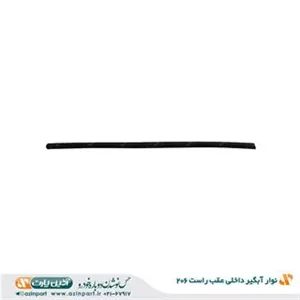 نوار آبگیر داخلی پژو 206 عقب راست