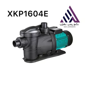 پمپ آب استخری خود مکش 2 اسب  لئو  مدل XKP1604E |  تکفاز 2 اینچ