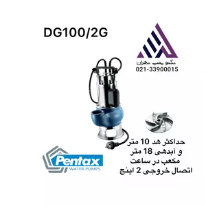پنتاکس | پمپ لجن کش تنه استیل | مدل DG100/2G | تکفاز 1 اسب |  فلوتر دار | خروجی 2اینچ | هد 10 متر