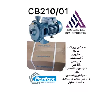 پمپ آب دو اسب  دو پروانه مدل CB210/01 پنتاکس | تکفاز پروانه برنجی  اصلی