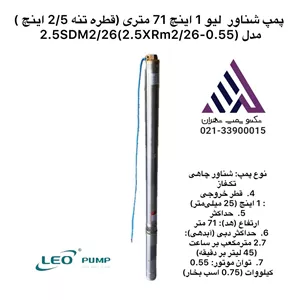 پمپ شناور استیل  تنه باریک چاهی  لئو | مدل 2.5XRM2/26  | تکفاز | 75%  اسب | خروجی  1 اینچ | هد 71 متر
