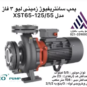 پمپ سانتریفیوژ زمینی لیو ٣ فاز مدل XST65-125/55
