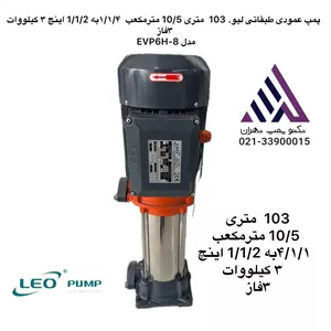 پمپ عمودی طبقاتی لئو  LEO مدل EVP6H-8 | هد 103 متر | 3 کیلووات | سه فاز | ورودی 1¼ اینچ خروجی 1½ اینچ