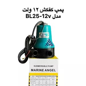پمپ کفکش CNB مدل BL25-12V | ۱۲ ولت با هد ۴ متر