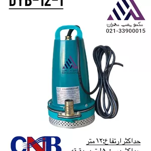 پمپ کفکش ۱۲ ولت چدنی CNB مدل DYB-12-1 | هد ۱۲ متر |  ۱ اینچ