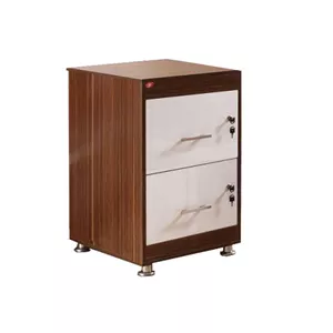 فایل 2 کشو MDF