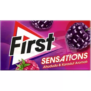 آدامس فرست با طعم تمشک و توت سیاه 27گرم 12بسته | First