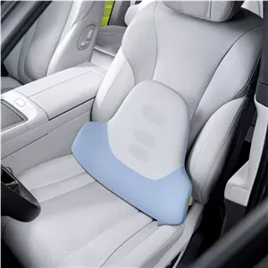 پشتی کمری طبی صندلی مموری فوم بیسوس C20069000121-00