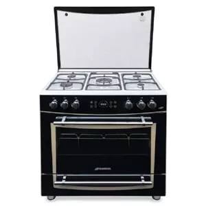 اجاق‌ گاز فر دار رمگا مدل 636DF