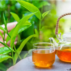 چای امیننت با عصاره‌ی اصیل هل (سری اکسکوزیت)