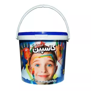 رنگ نیم پلاستیک کاسپین درجه 2 - 25 کیلویی
