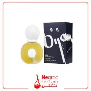 عطر ادکلن بیژن مردانه | Bijan for Man