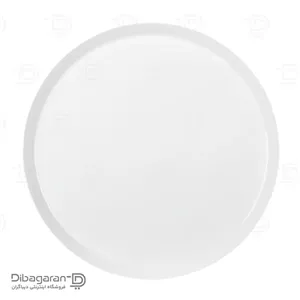 دیس گرد چینی زرین مدل فرم اس سایز 30