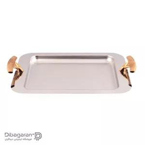 سینی استیل مستطیل ریور G1226