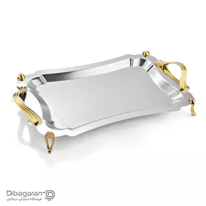سینی استیل مستطیل ریور BG7237