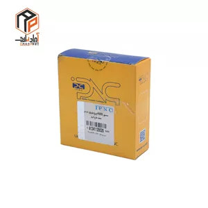 سنسور ترمز چرخ جلو 206 سمند طرح کروز IPNC ضد قفل ABS