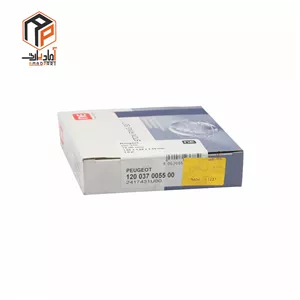 رینگ 206 تیپ 2 استاندارد NE