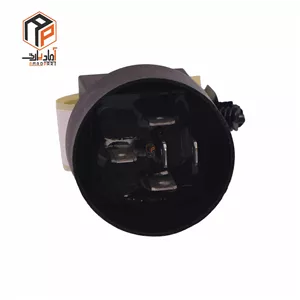 رله فن 405 کلاهدار ایساکو