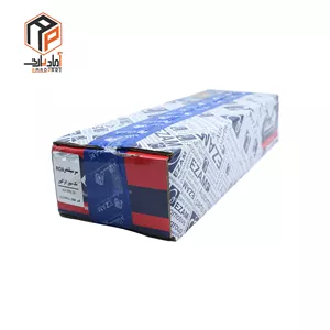 سرسیلندر روا ROA بنزینی انژکتور عظام