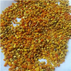 معجون عسل گرده و ژل رویال  ۵۰۰گرمی نارینا