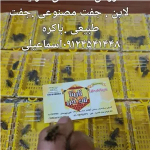 ملکه باکره کارنیکا پیوند شده از لاین ترک