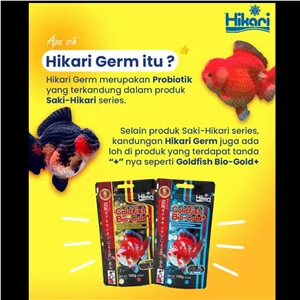 غذای گلدفیش بایوگلد هیکاری 300g