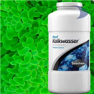 ریف کالک واسر سیچم (Reef Kalkwasser)