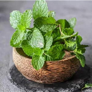عرق نعنا