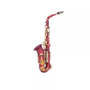 ساکسوفون آلتو شاتو CAS-882JPL