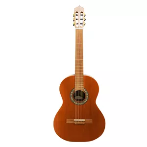 گیتار پارسی M6