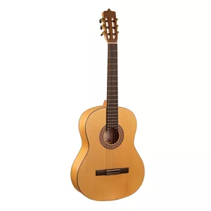 گیتار پارسی P40F