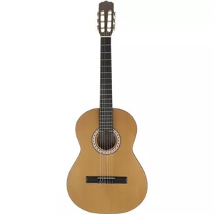 گیتار کلاسیک پارسی M1