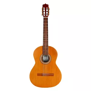 گیتار پارسی P80