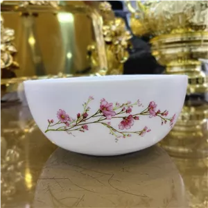 کاسه آبگوشت آرکوپال طرح بهار قالب دیوالی گلدن اپال 6عددی