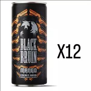 نوشیدنی  انبه بلک برن 250 میل بسته12 عددی
