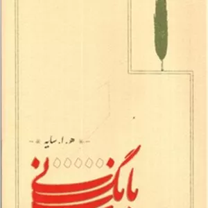 بانگ نی